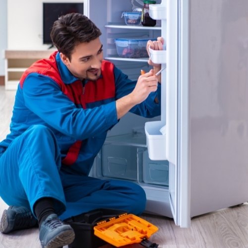 Fridge Repair Service